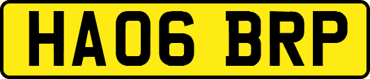 HA06BRP
