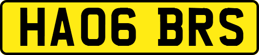 HA06BRS