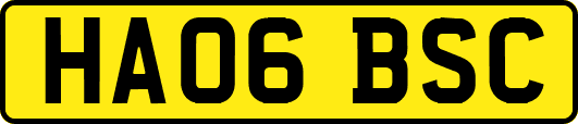 HA06BSC