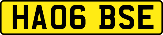 HA06BSE
