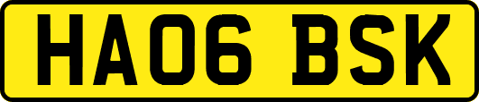 HA06BSK