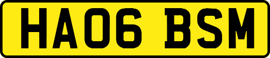 HA06BSM