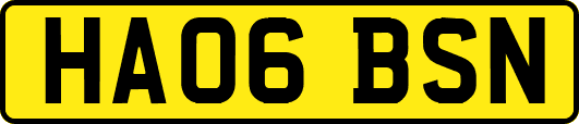 HA06BSN