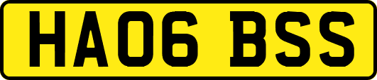 HA06BSS