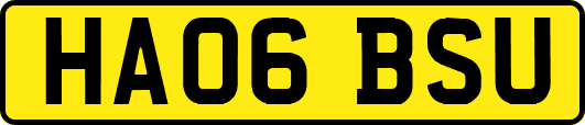 HA06BSU