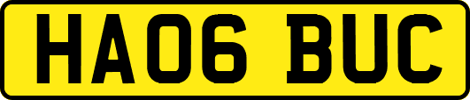 HA06BUC