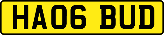 HA06BUD