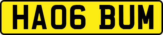 HA06BUM