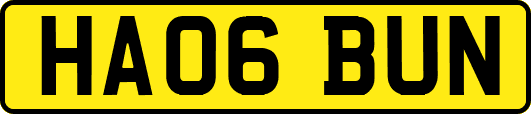 HA06BUN