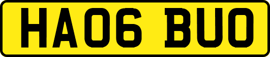 HA06BUO