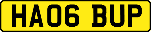 HA06BUP