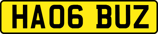 HA06BUZ