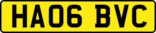 HA06BVC
