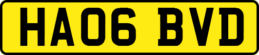 HA06BVD