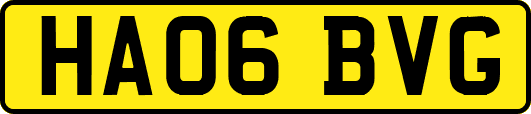 HA06BVG