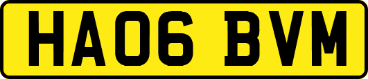 HA06BVM
