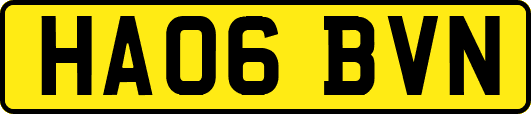 HA06BVN