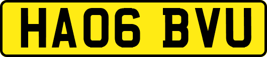 HA06BVU