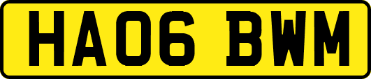HA06BWM