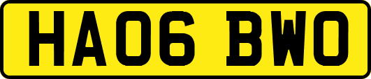HA06BWO