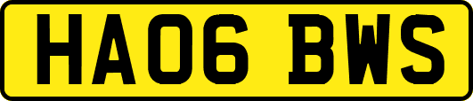 HA06BWS