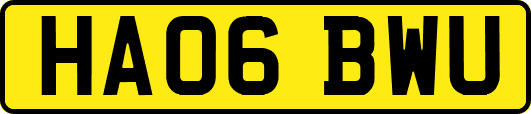 HA06BWU