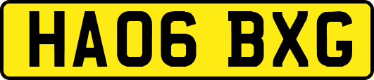 HA06BXG
