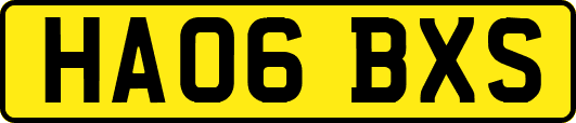 HA06BXS