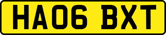 HA06BXT