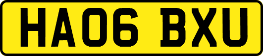 HA06BXU