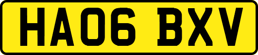 HA06BXV