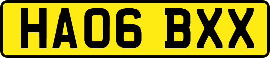 HA06BXX