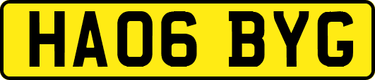 HA06BYG