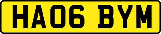 HA06BYM
