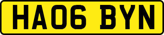 HA06BYN