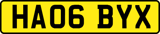 HA06BYX