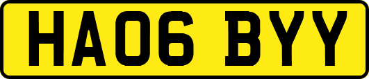 HA06BYY