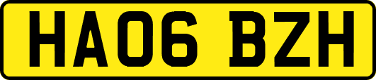 HA06BZH