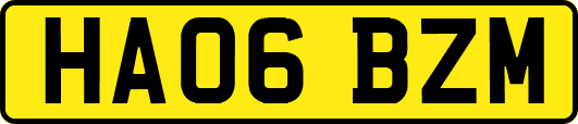HA06BZM