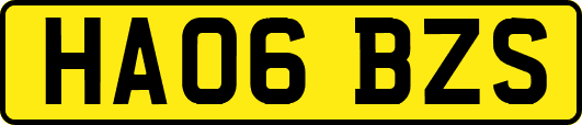 HA06BZS