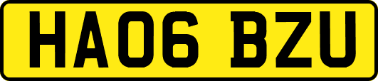 HA06BZU