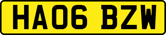 HA06BZW