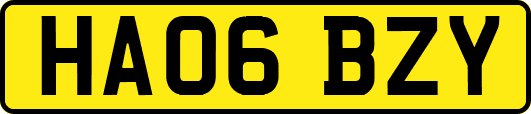 HA06BZY