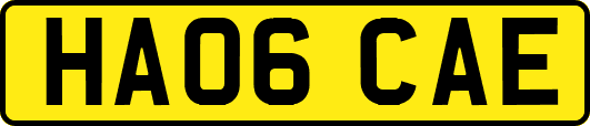 HA06CAE