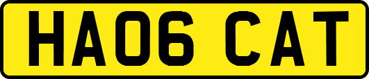 HA06CAT