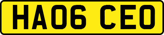HA06CEO