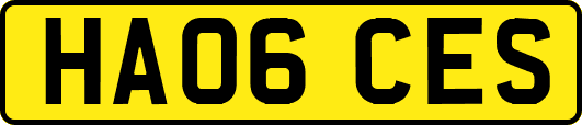 HA06CES