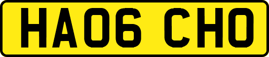 HA06CHO