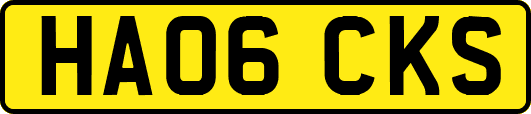 HA06CKS