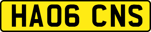 HA06CNS